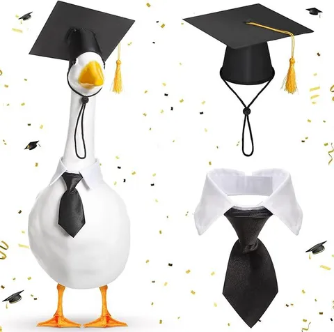 Set di Costume con Cappello e Cravatta per la Laurea della Statua dell Oca del Portico in Poliestere Decorazione per Giardino