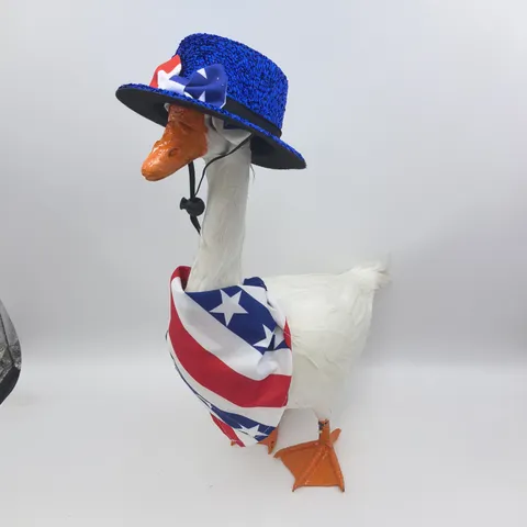 Set Costume da Oca da Portico per il Giorno dell'Indipendenza Americana Cappello con Paillettes Blu Farfallino Sciarpa