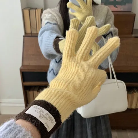 Women Winter Warm Knitted Gloves Touch Screen Color Block Splicing Daily Outdoor Riding Thermal Elastic Mittens