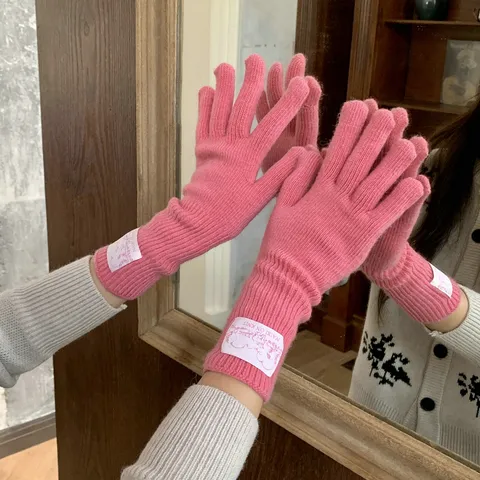 Koreanischer Stil Wollmischung Warme Handschuhe Winter Einfarbig Hochwertige Fingerhandschuhe Touchscreen Winddicht Ski Mode Handschuhe Damen