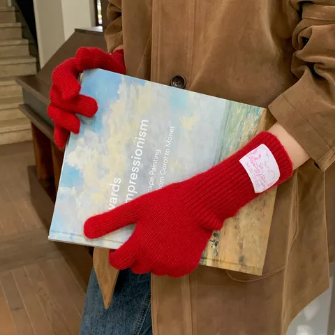 Koreanischer Stil Wollmischung Warme Handschuhe Winter Einfarbig Hochwertige Fingerhandschuhe Touchscreen Winddicht Ski Mode Handschuhe Damen