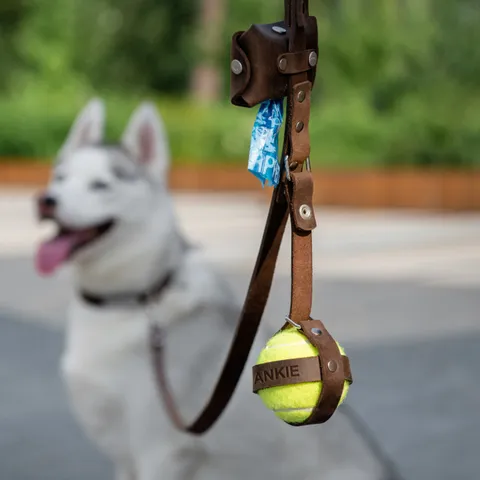 Sac de Rangement pour Balles de Tennis pour Chien en Cuir PU Support de Balle de Jouet Portable Organisateur Suspendu Extérieur