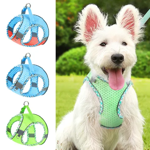 Atmungsaktives Mesh Haustier Brustgurt Hundegeschirr Und Leine Set Reflektierend Kleine Mittlere Hunde Katzen Spazierweste Haustierbedarf