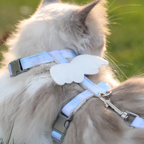Verloop Kat Tuigje en Lijn Set Anti-Ontsnapping Schattige Engelenwleugels Zacht Mesh Vest Verstelbare Huisdier Lijn voor Katten