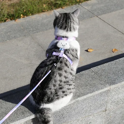 Verloop Kat Tuigje en Lijn Set Anti-Ontsnapping Schattige Engelenwleugels Zacht Mesh Vest Verstelbare Huisdier Lijn voor Katten