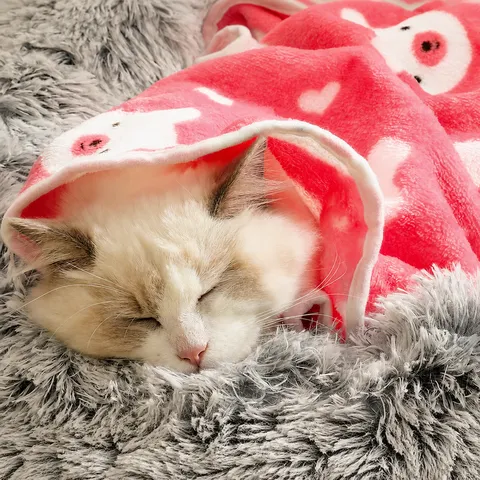 Couverture pour Animaux en Velours de Lait Épaissie Tapis Chaud et Doux pour Chat et Chien Toutes Saisons Tapis de Couchage Imprimé Mignon Fournitures pour Animaux