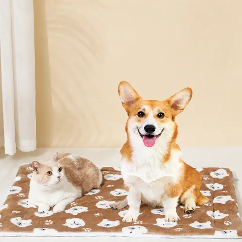 Fleece Blankets