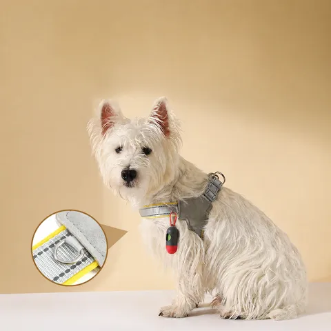 Breathable Mesh Pet Dog Harness And Leash Set Reflective Adjustable Puppy Chest Strap Vest For Small Medium Dogs Pet Supplies
