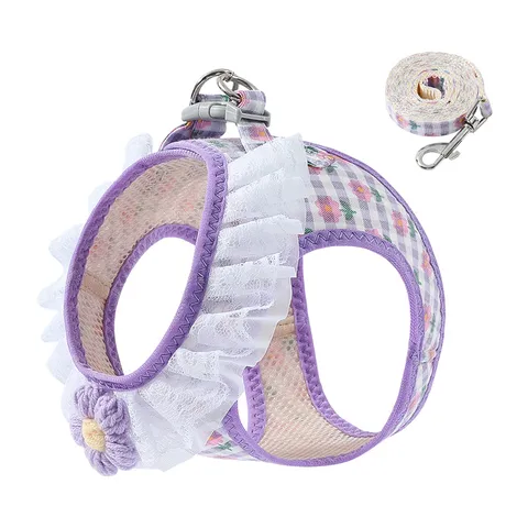 Schattig Ruitjes Katten Harnas en Lijn Set Ademend Mesh Vest Met Kantafwerking Verstelbaar Anti-Ontsnapping Huisdier Vest