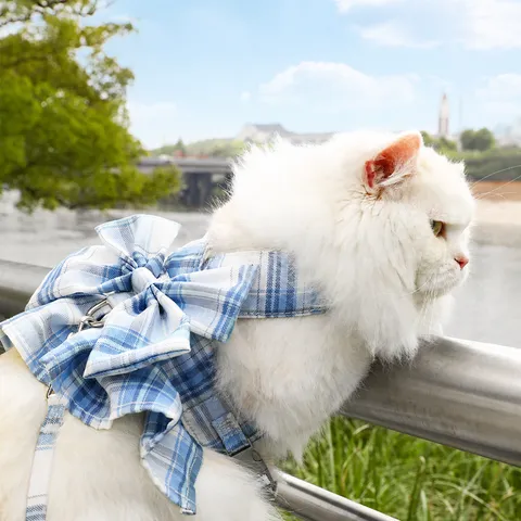 Huisdier JK Ruitjes Rok Tuigje en Lijn Set Ademend Mesh Kat Hond Vest Kleding Schattige Strik