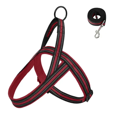 Hondentuig en Lijn Set Reflecterend Ademend Mesh Vest Tuig voor Kleine Middelgrote Honden Huisdier Looplijnen