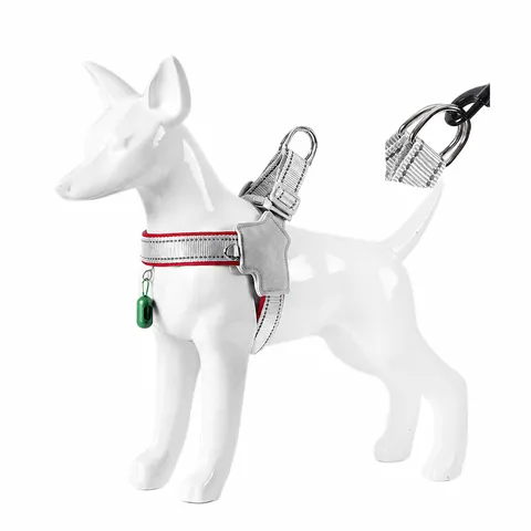 Dog and Cat Supplies