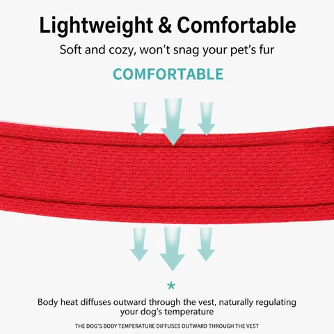 Pet Dog Harness And Leash Set Breathable Mesh Reflective Adjustable No Pull Vest Harness For Small Medium Dogs Pet Supplies