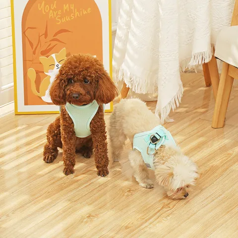Atmungsaktives Mesh Hunde Geschirr und Leine Set Reflex Weste Stil Kleine Hunde Brustgurt Outdoor Spaziergang Haustierbedarf