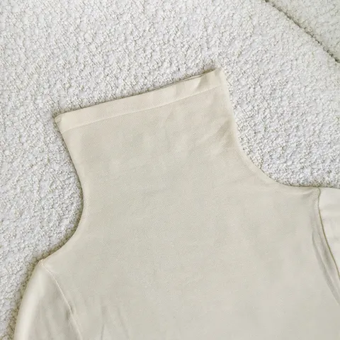 Women's Thermal Underwear High Neck Acrylic Solid Color Long Sleeve Slim Fit Basic Top Winter Warm Baselayer