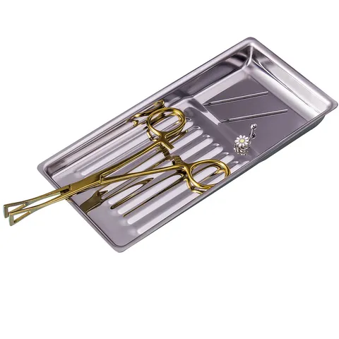 Stainless Steel Disinfection Tray Metal Tool Storage Plate Piercing Tool Cleaning Tray Salon Spa Tool Organizer