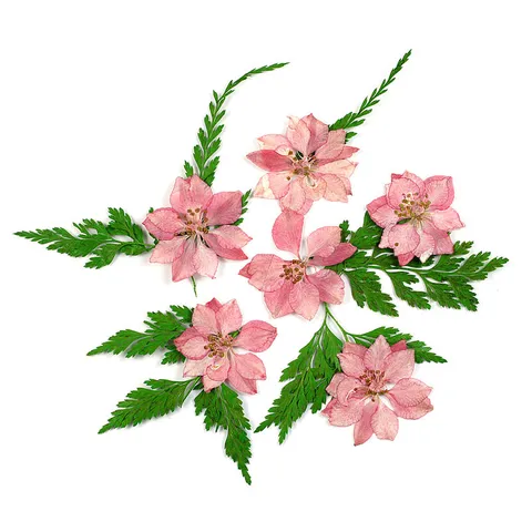 Natural Pressed Dried Flowers DIY Craft Materials Real Flower Petals For Resin Phone Case Jewelry Making Plant Decors