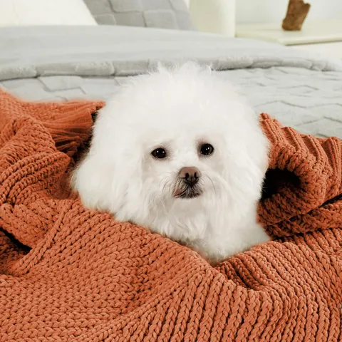 Acrylic Knitted Throw Blanket Soft Diagonal Stripe Blanket For Sofa Bed Living Room Home Decor Cozy Lightweight Bedspread