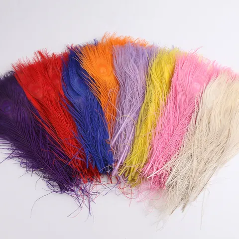 Plumes de Paon Naturelles en Vrac Colorées Teintes Plumes pour Décoration Intérieure Arrangement de Vase Bricolage Artisanat