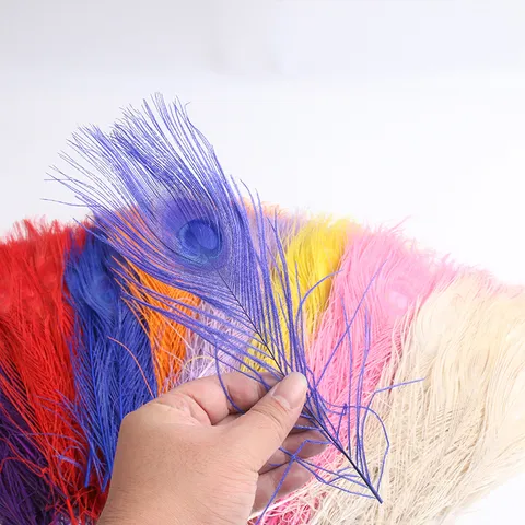 Plumes de Paon Naturelles en Vrac Colorées Teintes Plumes pour Décoration Intérieure Arrangement de Vase Bricolage Artisanat