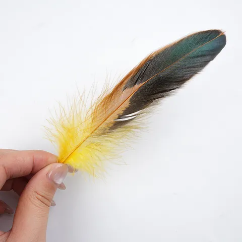 Colorful Rooster Tail Feathers Natural Feather DIY Craft Materials For Indian Headwear Cat Toy Party Wedding Decoration