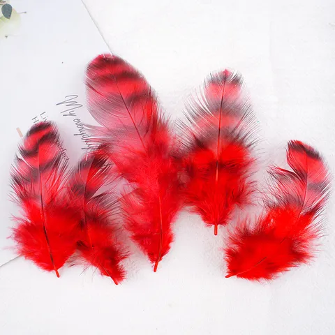 Colorful Feather Craft Supplies Natural Chicken Feathers For DIY Jewelry Dream Catcher Cat Toy Apparel Decor
