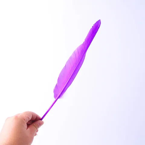 DIY Goose Feather Natural Dyed Colorful Craft Feathers For Wedding Party Home Decoration Clothing Accessories