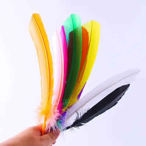 Feather Pens