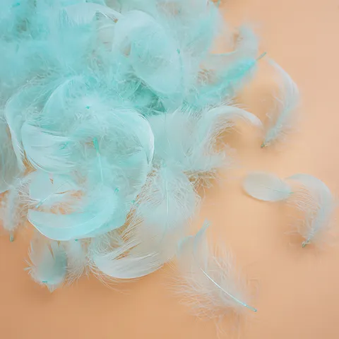 Colorful DIY Feather Goose Feathers For Wedding Party Balloon Filling Craft Decoration Fluffy Feather Materials