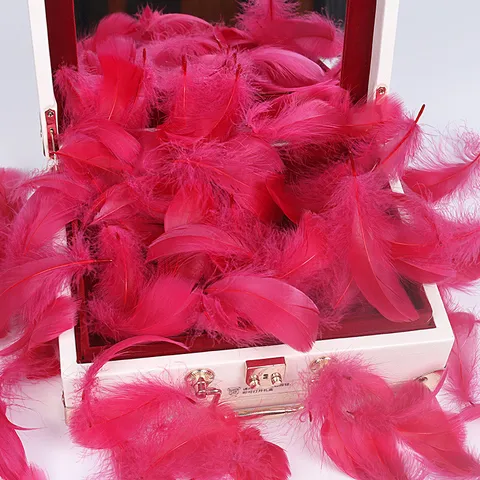 Colorful Goose Feathers DIY Craft Feathers Bulk For Wedding Party Home Decor Festival Scene Decoration Accessories
