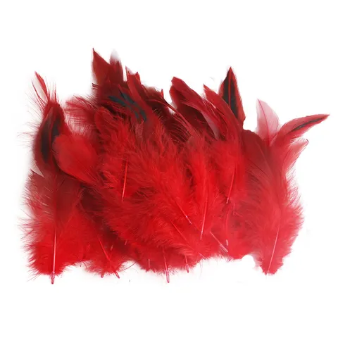 Natural And Dyed Colorful Feathers Bulk For DIY Crafts Jewelry Making Clothing Decoration Craft Supplies