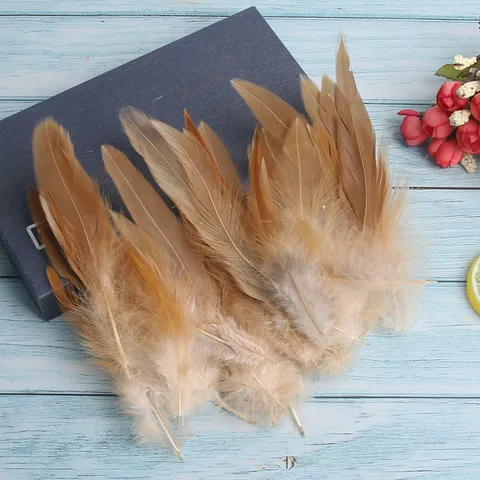 Natural And Dyed Colorful Feathers Bulk For DIY Crafts Jewelry Making Clothing Decoration Craft Supplies