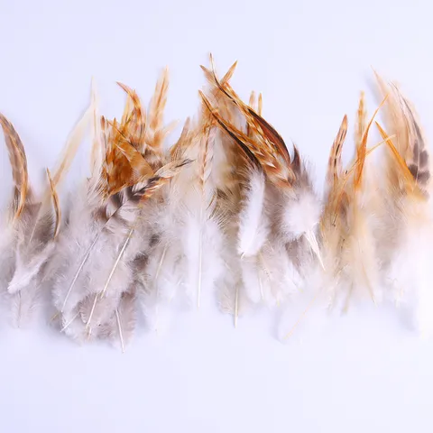 Natural Feathers DIY Craft Materials Colorful Chicken Feathers For Dream Catcher Clothing Decoration Jewelry Accessories