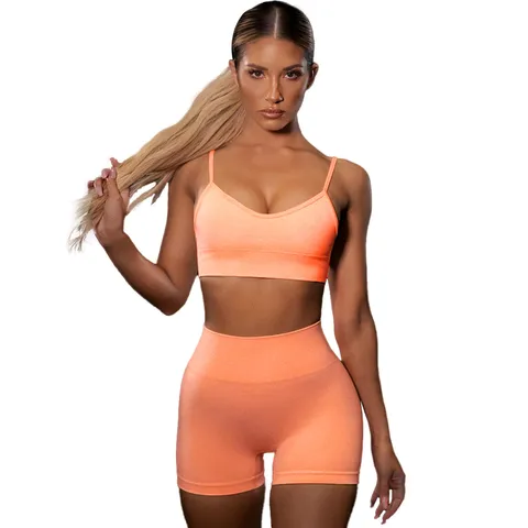 Women Seamless Fitness Yoga Outfit Set Backless Sports Bra And High Waist Shorts Nylon Spandex Athletic Workout Gym