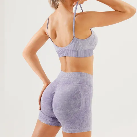 Women Seamless Yoga Set High Impact Sports Bra And High Waist Shorts Athletic Workout Gym Activewear Top And Bottom