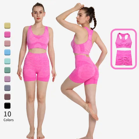 Women Seamless Yoga Set High Waist Hip Lifting Sports Bra Shorts Athletic Gym Fitness Workout Activewear