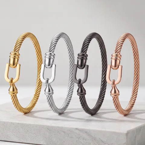 Bracelet en Acier Inoxydable Minimaliste Corde Torsadée Boucle de Fer à Cheval Mode de Luxe Plaqué Or PVD Bijoux