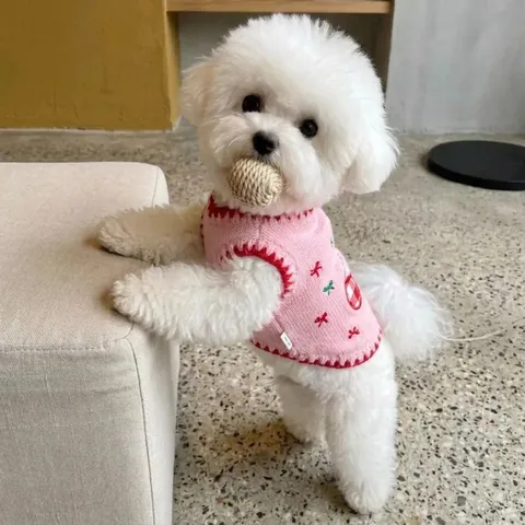 Mignon Pull pour Chien Animal de Compagnie Hiver Chaud Polaire Chiot Vêtements Broderie Cerise Gilet Petit Chien Vêtements