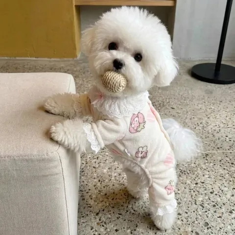 Autumn Winter Warm Fleece Four-Legged Pet Clothes Princess Lace Cute Cartoon Design Puppy Pajamas Apparel