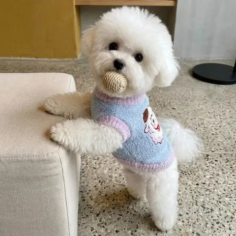 Cute Polyester Contrast Color Block Pet Sweater With Cartoon Lamb Embroidery Warm Thickened Two-Legged Clothes For Small Medium Dogs Cats