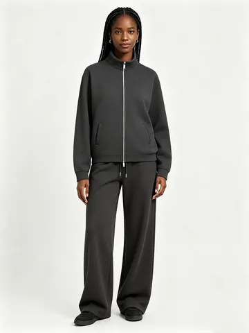 Men's Casual Heavyweight Fleece Stand Collar Zip Up Sweatshirt And Sweatpants Solid Color Activewear Suit