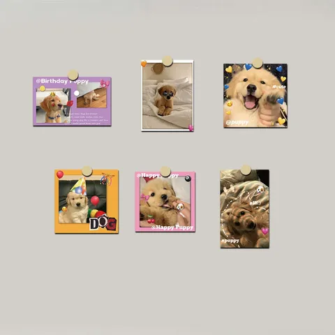 Tarjetas Decorativas Estilo INS Cachorro Golden Retriever Postales Lindas Para Dormitorio Sala De Estar Decoración De Pared Regalo