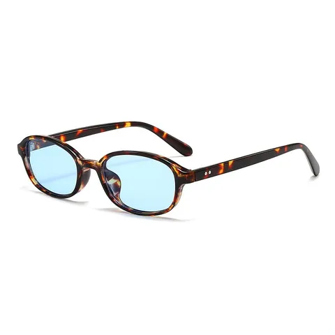 Retro Ovaler Kleiner Rahmen Sonnenbrille Für Damen Herren Mode Vintage Ultra Leichte Brille UV400 Schutz PC Rahmen AC Linse Outdoor Brille