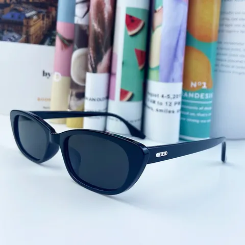 Fashion Cat Eye Sunglasses Women Y2K Small Frame Sun Glasses Vintage Streetwear PC AC Shades Outdoor UV400 Eyewear
