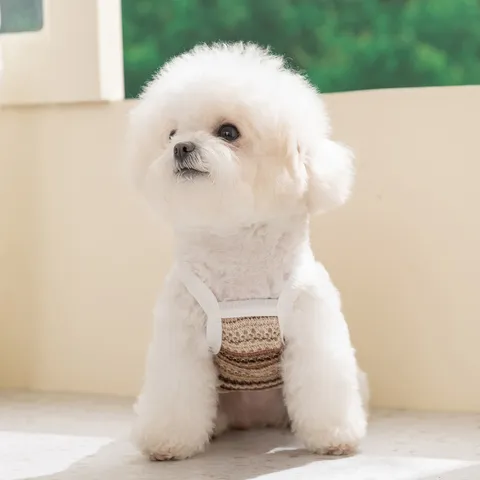Spring Summer Breathable Pet Clothes Small Medium Dogs Cute Cartoon Patch Mesh Camisole Vest Puppy Dog Apparel