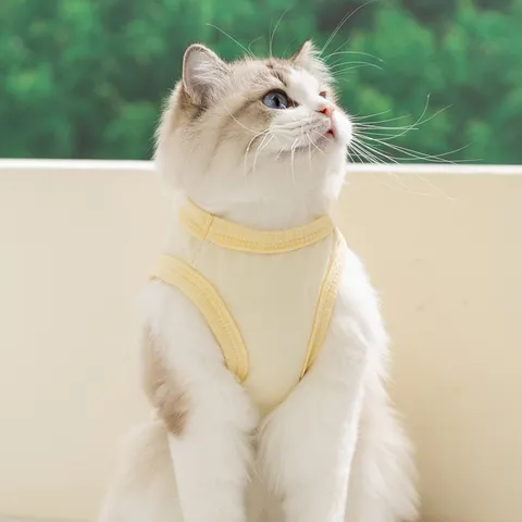 Chaleco de Malla Lindo para Mascota Ropa Transpirable de Cachorro y Gato con Tirantes Verano Perro Pequeño Estampado de Dibujos Animados