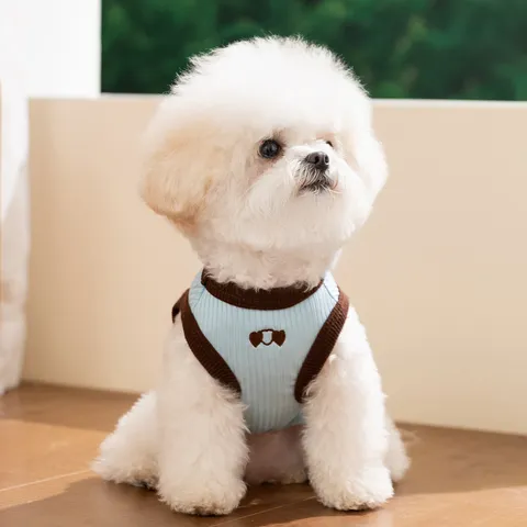 Huisdier Zomer Vest Ijs Zijde Koeling Hondenkleding Schattige Hart Beer Geborduurd Puppy Kat Vest Kleine Middelgrote Hond