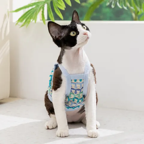 Abbigliamento Per Animali Domestici In Maglia Traspirante Gilet Sottile Estivo Carino Con Fiori Per Gatti E Gattini