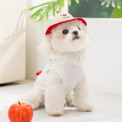 Lindo Chaleco para Mascotas Transpirable Estampado de Frutas de Dibujos Animados Con Sombrero a Juego Anillo de Correa para Arnés Camisa Suave para Exteriores para Perros Pequeños Gatos Juego de Chaleco Confort
