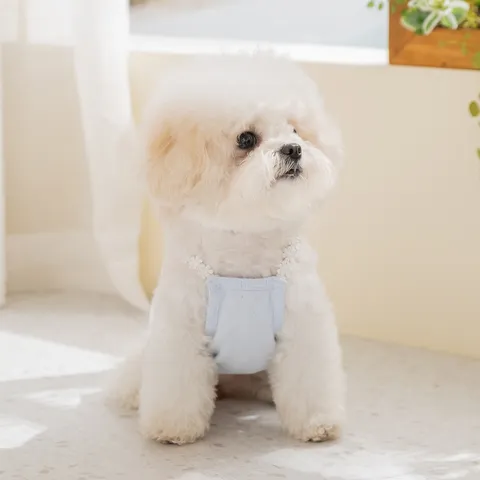 Robe à Bretelles Mignonne pour Animal de Compagnie Imprimé Petit Ours Robe Princesse Fine d'Été pour Petits Chiens et Chats